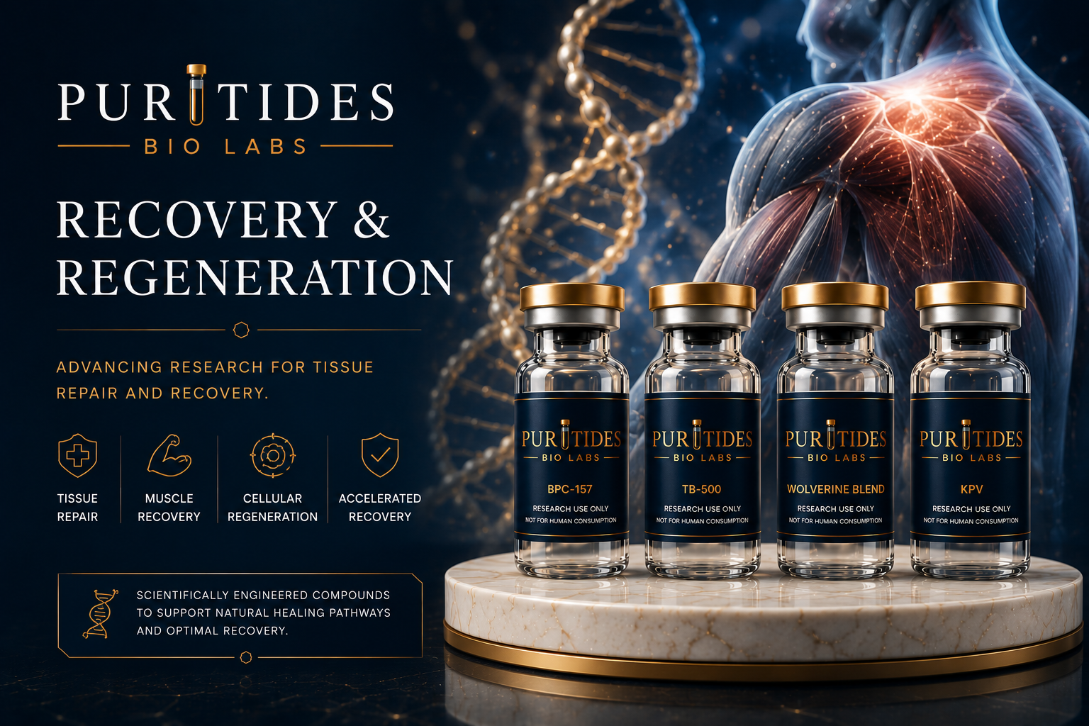 Recovery & Regeneration Research