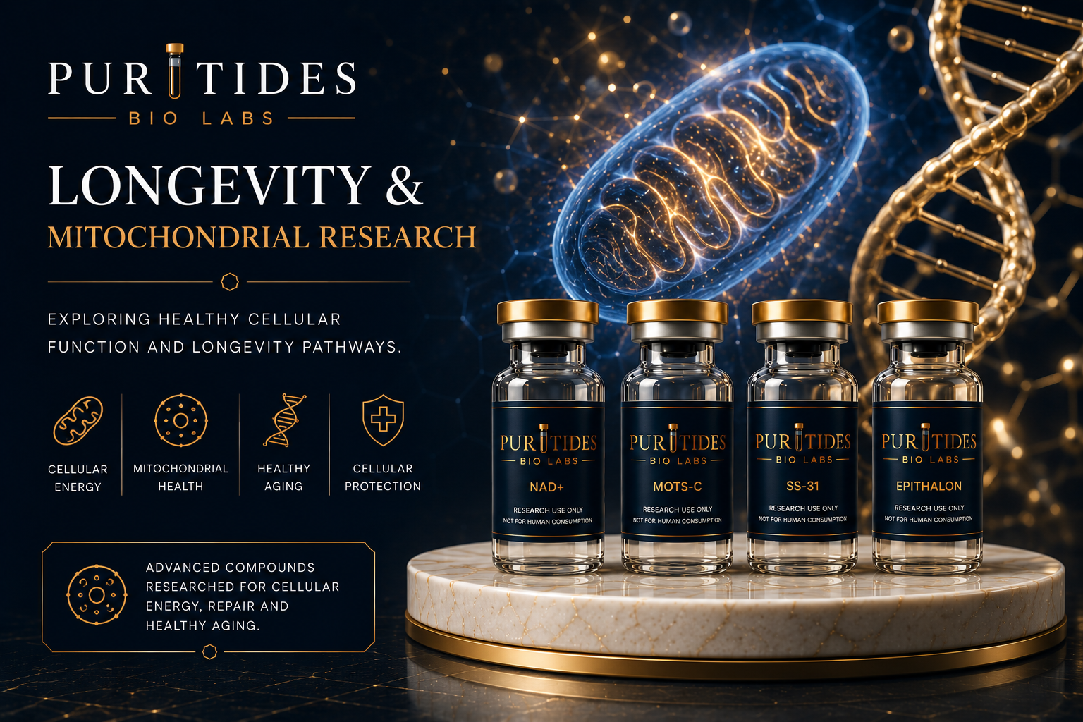 Longevity Research